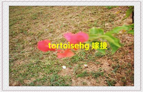 tortoisehg 嫁接